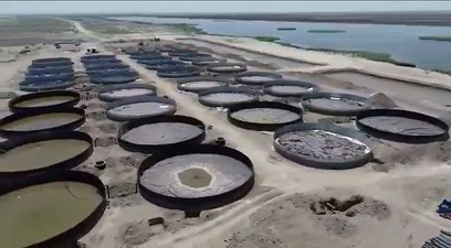 
	В настоящее время набирает популярность бизнес по разведению рыбы. Главная составляющая разведения рыбы &ndash; это непосредственно бассейн для выращивания рыбы. В качестве бассейна для выращивания рыбы можно использовать обычный пруд, а можно воспользоваться готовыми емкостями для разведения рыбы.

	
		


	Емкости, резервуары и бассейны для разведения рыбы.

	&nbsp;

	Преимущество модульных емкостей для разведения рыбы состоит в том, что их можно использовать как в помещении, так и на улице. Для их установки требуются минимальные строительные работы. Для выращивания и разведения рыбы используют емкости высотой 1,2 и 1,5 метра. В емкостях для разведения рыб можно выращивать осетровую рыбу, форель, карпа и множество других видов рыб. Также в них можно разводить раков и мидии.

	&nbsp;

	&nbsp;

	&nbsp;

	Технические характеристики

	
		
			Объем емкостей &ndash; от 13 до 1000 м&sup3;.
	
	
		
			Возможность установки любого оборудования, в том числе системы аэрации воздуха.
	
	
		
			Подъемная техника для сборки/разборки емкостей не нужна.
	
	
		
			Возможность сборки/разборки емкости в течение 1 дня и переноса в другое место.
	


	&nbsp;

	&nbsp;

	&nbsp;

	&nbsp;

	
		&nbsp;


	
		&nbsp;

